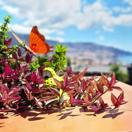 Lejlighed Blissful By Lovelystay *